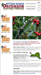 Mobile Screenshot of bittnersingerorchards.com